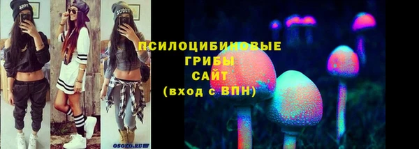 PSILOCYBIN Лихославль