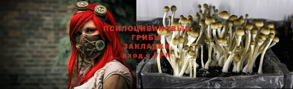 спиды Липки