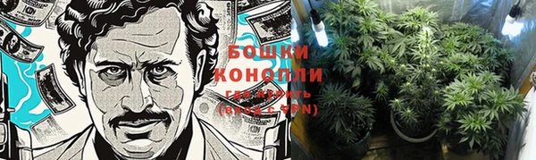 PSILOCYBIN Лихославль