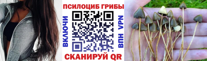 Псилоцибиновые грибы мухоморы купить наркоту Юрга